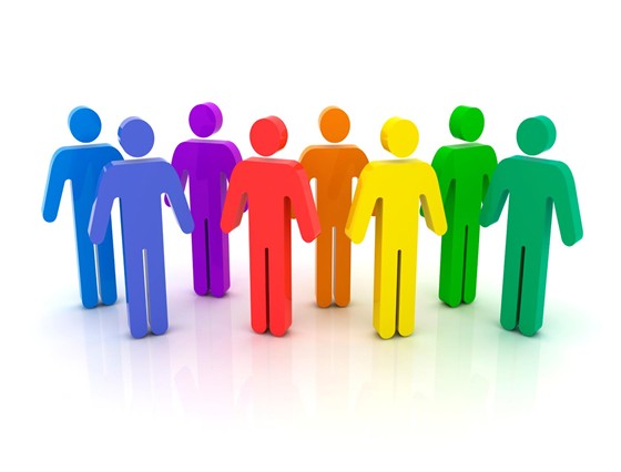 Social, Ethical, and Human Issues: Standard BCS-CA1-1